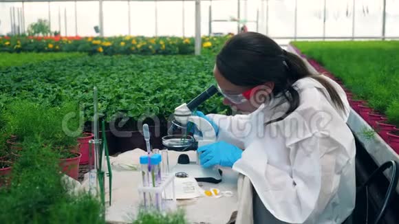 女化学家用显微镜观察植物视频的预览图