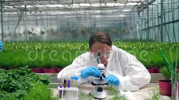 两位生物学家正在研究绿色植物中的化学物质视频的预览图