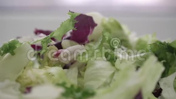 切碎的红甘蓝和生菜叶放在盘子特写上视频的预览图