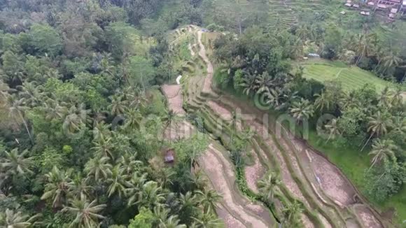 印度尼西亚村庄山上梯田的无人机镜头4k视频的预览图