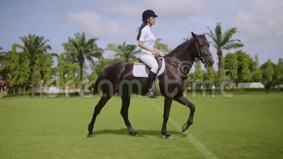 快乐的女人骑马在露天竞技场上踱步穿着正式的骑马服参加骑马活动视频的预览图