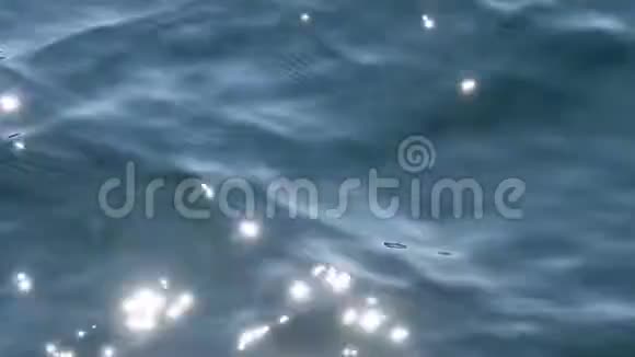 阳光洒在水面上视频的预览图