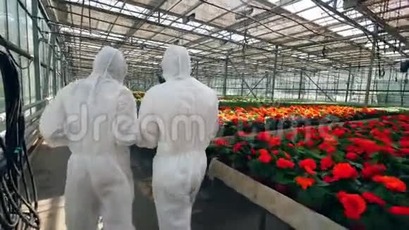 两位生物学家沿着绿色植物漫步的背面视频的预览图