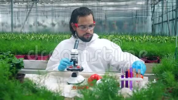 一位男性生物学家正在用化学物质测试番茄视频的预览图