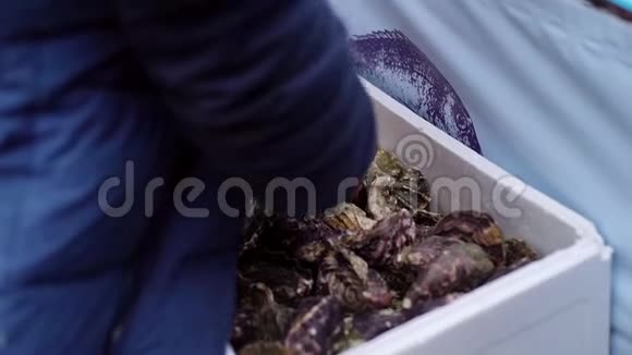 从盒子里取出牡蛎的人画像慢速射击视频的预览图