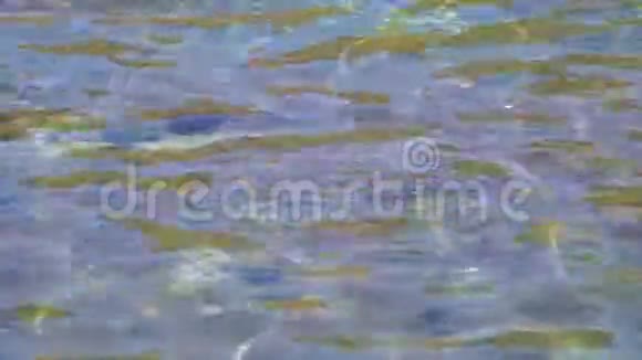 海水中的倒影视频的预览图