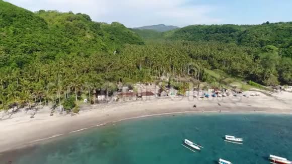 带人步行的海滨度假胜地背景是丛林空中拍摄视频的预览图