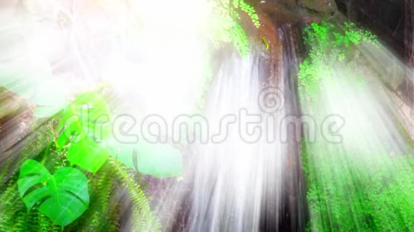 热带植物瀑布中的童话故事视频的预览图