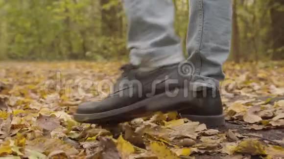 一条穿着蓝色牛仔裤和深褐色靴子的雄性腿的特写在秋天的森林里用黄色的叶子漫步视频的预览图