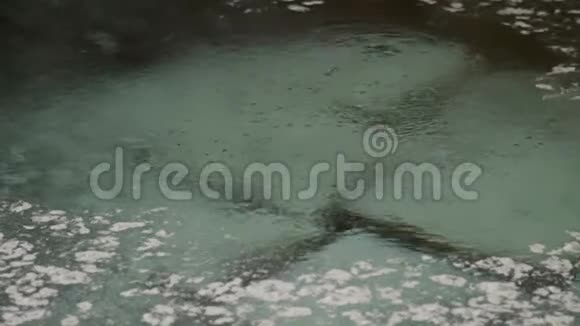 矿泉浴视频的预览图