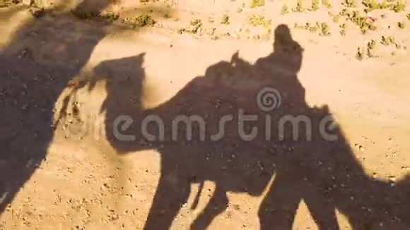 4K视频4骆驼和骆驼骑手穿过撒哈拉沙漠的轮廓骆驼商队穿过沙漠视频的预览图