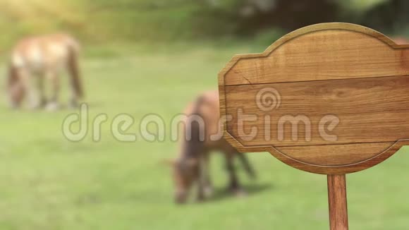 草地和牧马动画背景上的木制标志指针相机从左到右移动视频的预览图