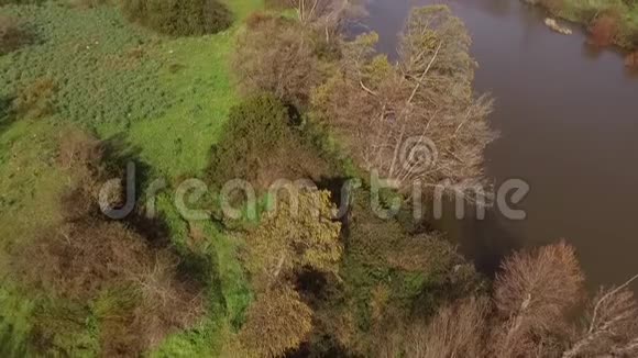 萨迪尼亚湖和科吉纳斯河上空的鸟瞰图无人机包裹在树木和农田中视频的预览图