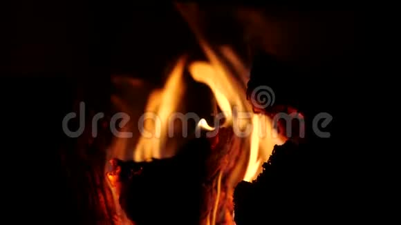 开火黑色背景下燃烧的火焰特写慢动作的篝火做饭用的篝火视频的预览图