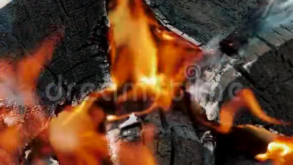 五彩缤纷的火焰在篝火中燃烧燃烧着木柴原木着火的线索视频的预览图