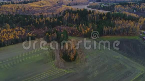 飞越芬兰乡村金秋空中视频视频的预览图