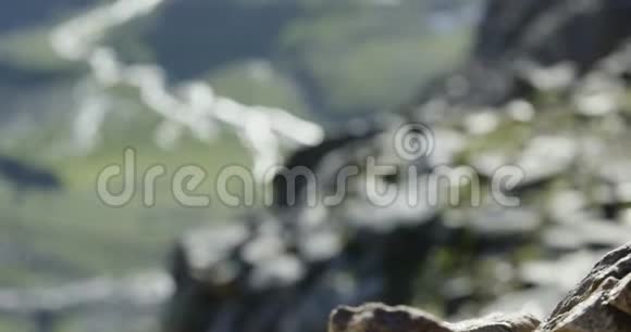 悬崖边缘山顶训练岩石攀登户外野生绿色自然视频的预览图