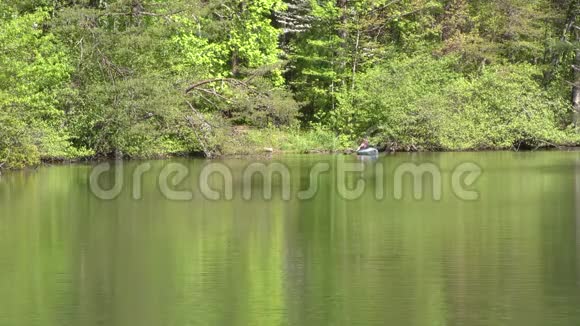 乔治娅堡山湖有树木倒影一个人坐独木舟视频的预览图