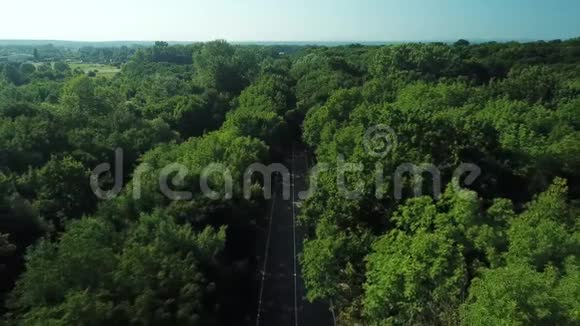 无人机观点飞越一条位于人口稠密森林之间的乡村道路视频的预览图