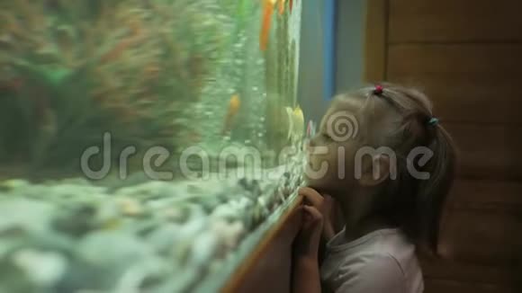 一个小女孩好奇地看着在水族馆里游泳的鱼视频的预览图