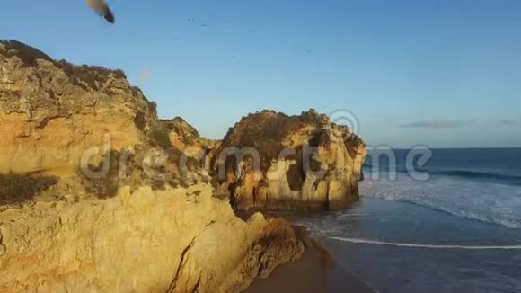 罗特鲁加尔阿尔加维日落时海鸥在海洋上的岩石上飞翔视频的预览图
