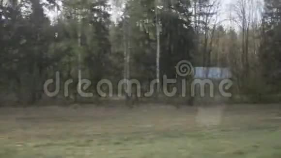 火车车窗森林观景视频的预览图