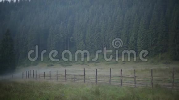 老栅栏后面美丽的森林景观松林野生自然高树树林旅行概念照相机视频的预览图