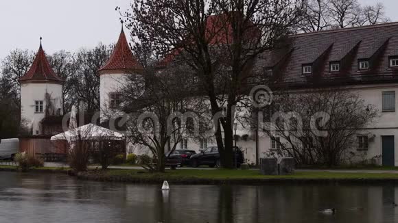 德国慕尼黑的布卢腾堡城堡附近的湖里有鸭子和天鹅视频的预览图