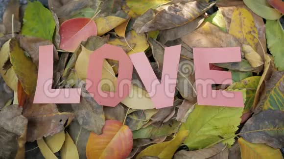 在吸烟的秋黄叶上铭文的爱是由从纸上剪下的字母组成的风吹着字母视频的预览图
