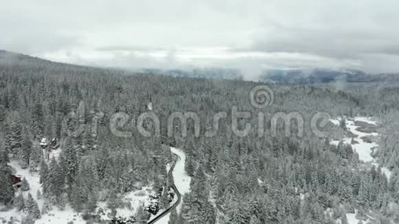 4k空中射击跟踪被树木包围的雪中灌溉渠视频的预览图