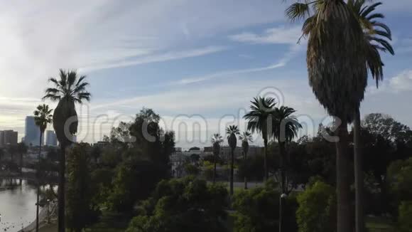 加州棕榈树经典洛杉矶景观拍摄于洛杉矶市中心附近的麦克亚瑟公园空中视频视频的预览图