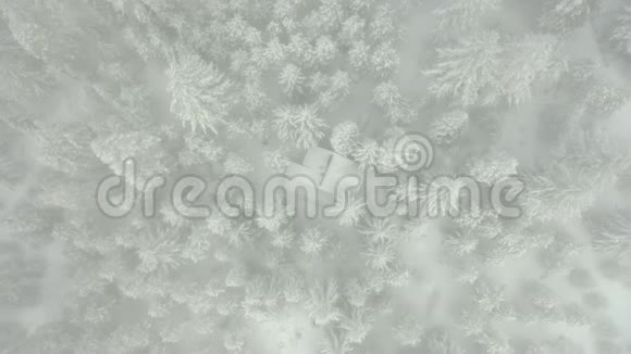 4k鸟瞰图从被树木包围的雪屋上方的雾中下降视频的预览图