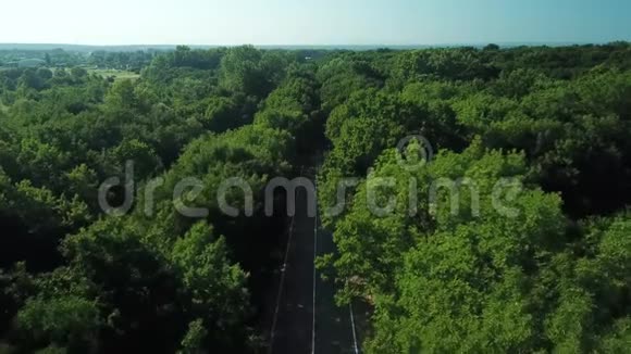 鸟瞰飞过一条位于人口稠密森林之间的乡间小路视频的预览图