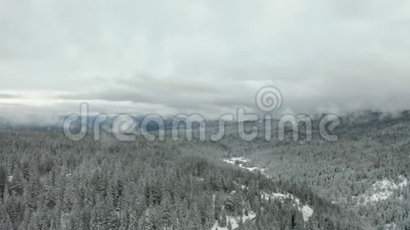 4k空中飞弹水平飞越被雪树包围的山谷视频的预览图