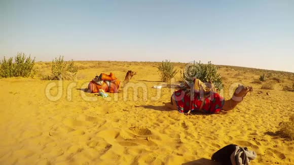 骑着马的骆驼躺在沙滩上休息沙丘沙漠TharRajasthan视频的预览图