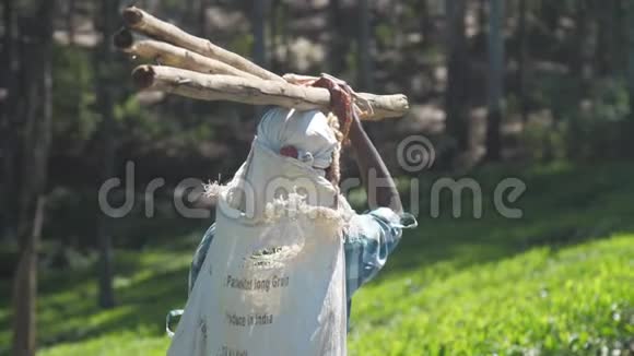 女士头上戴着大圆木走路微笑缓慢视频的预览图