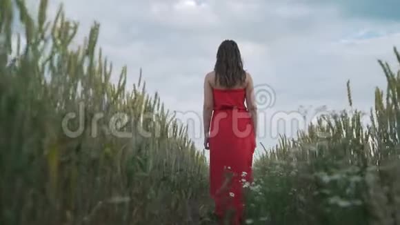 一个穿红色衣服的女孩正沿着田野走着一个穿红色衣服的女孩正在公园里散步慢动作视频的预览图