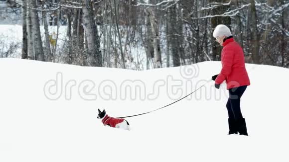 穿着红色夹克衫的女人和狗在明尼苏达州冬季风暴后的雪地里行走视频的预览图