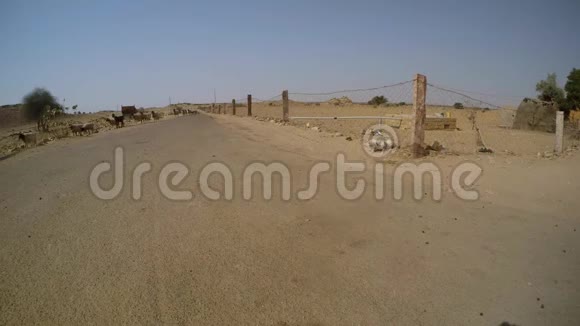 一群羊在沙漠中沿着里德移动TharWite狗穿过篱笆拉贾斯坦邦视频的预览图