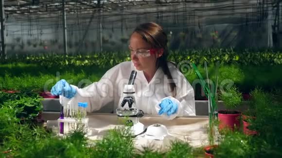 一位女性农学家正在植物上测试化学物质视频的预览图