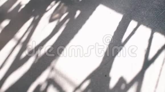在阳光下火车地板上阴影的移动视频的预览图