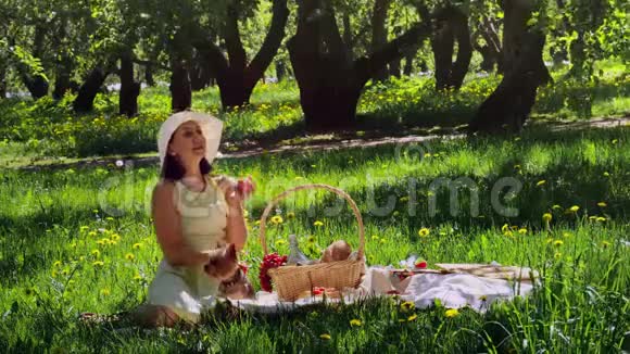 在树林里野餐的女人在摘苹果视频的预览图