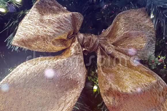 金色喜庆的松树蝴蝶结视频的预览图