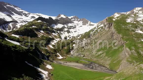 牦牛在阿尔卑斯山的一条山河上涉水视频的预览图