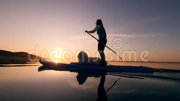 女运动员和一只狗在船上划桨视频的预览图