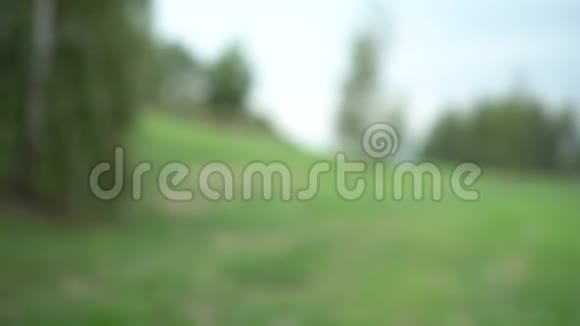一个少年在绿树和山坡上的天空的背景下以心脏的形状携起手来视频的预览图