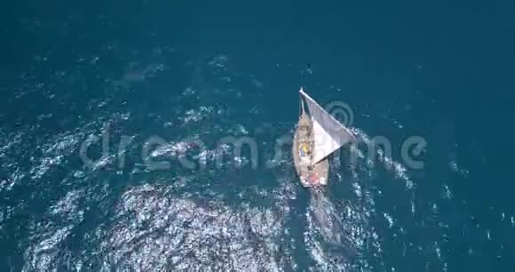 传统的海上帆船表演视频的预览图