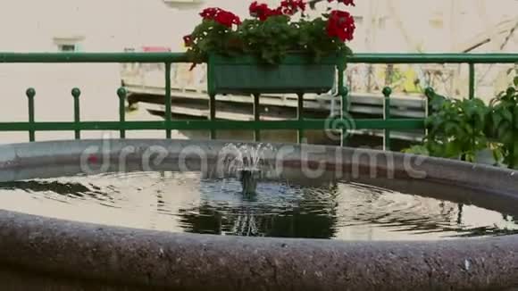 树荫下的小喷泉公园里有清水的喷泉视频的预览图