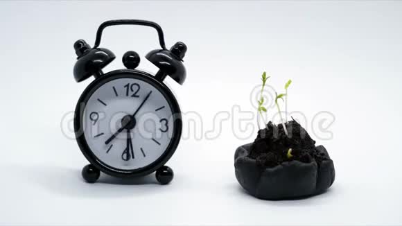 时间流逝概念时钟走在植物生长附近时间推移移动快视频的预览图