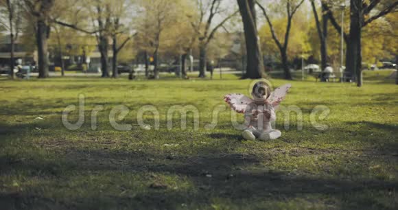 穿着仙女翅膀的小女孩在公园里玩视频的预览图